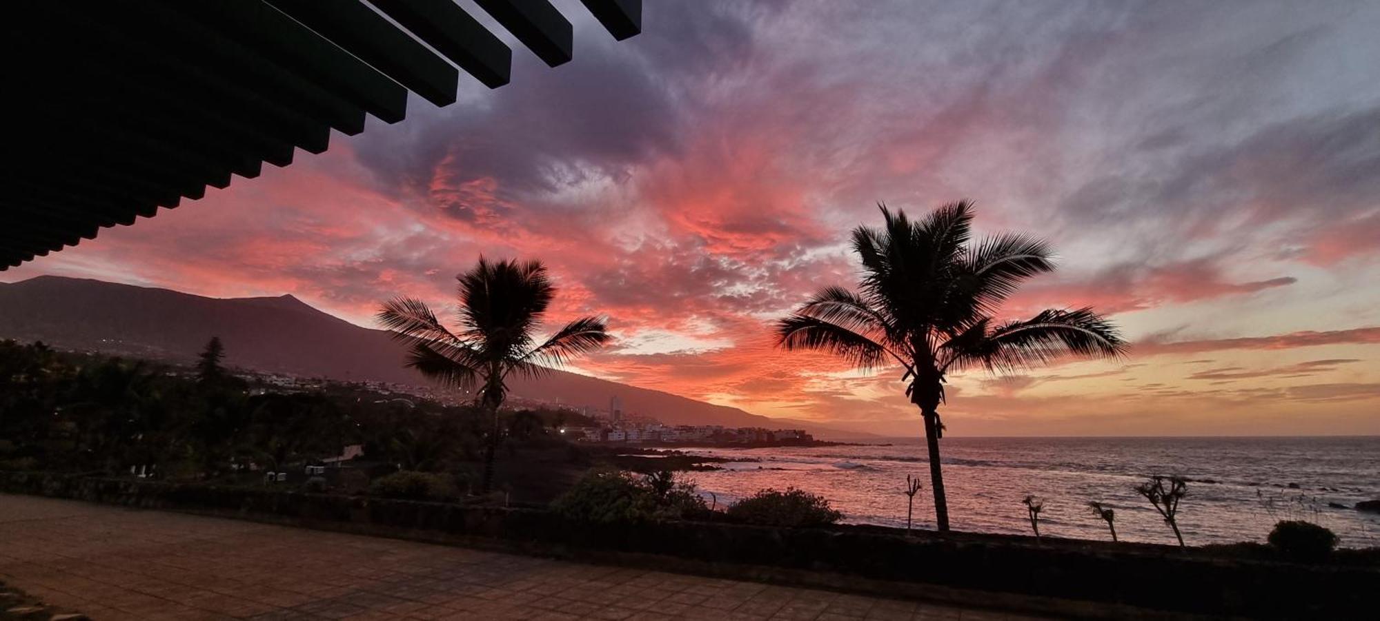Garden Beach Studio Lejlighed Puerto de la Cruz  Eksteriør billede