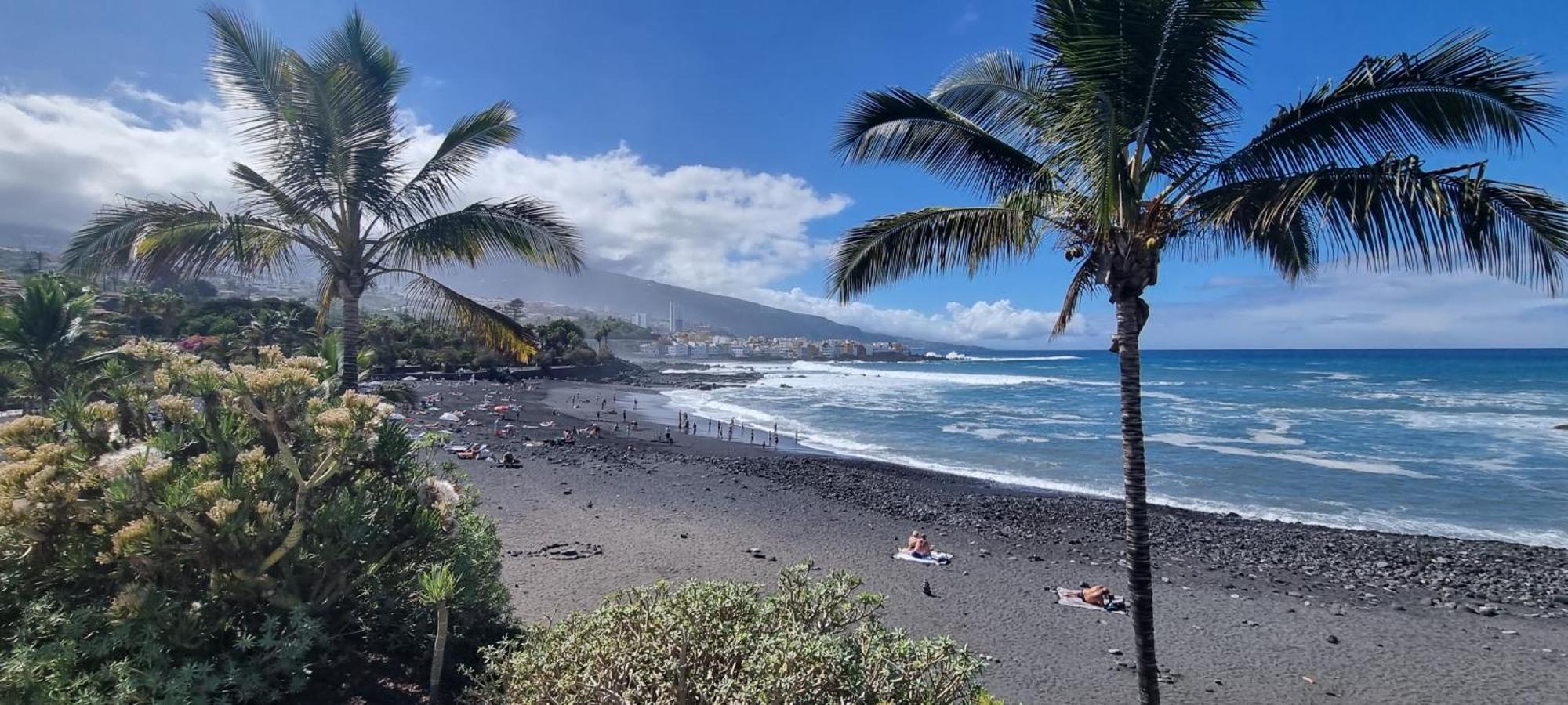 Garden Beach Studio Lejlighed Puerto de la Cruz  Eksteriør billede